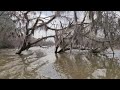 MR 2011 wildcat 223 river test 3
