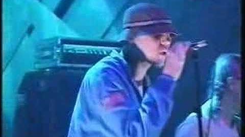 THE NEW RADICALS 