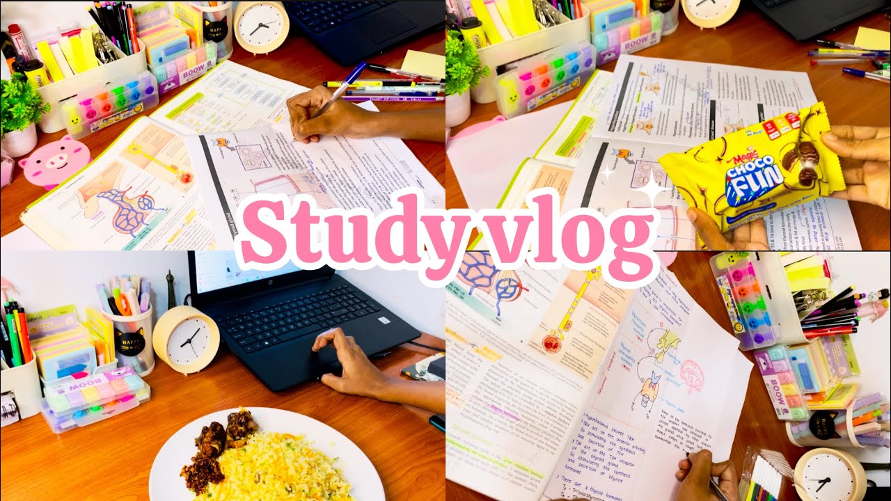 Study vlog 🍓📚|evening to night vlog🌸|#raveenajay #study