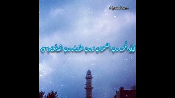 آيات من سورة الجاثية.... بصوت القارئ احمد خضر....حالات واتس آب.