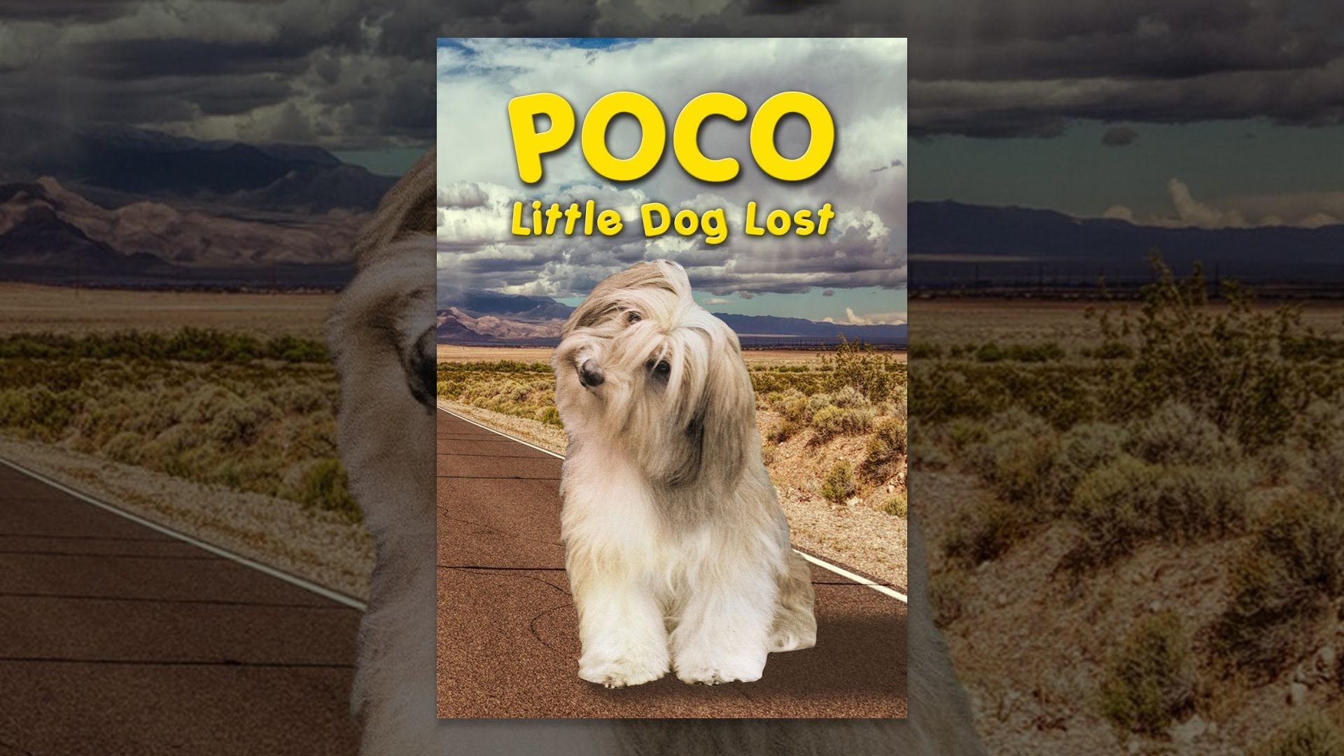 Poco Little Dog Lost