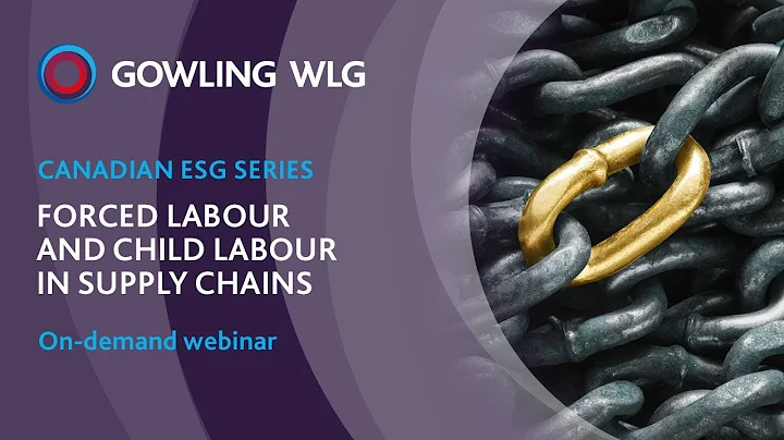 Forced Labour and Child Labour in Supply Chains