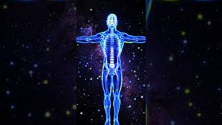 Healing Sleep Frequencies 💤 432Hz & 528Hz Meditation Music | Relax Mind & Body#432Hz #528Hz #Sleep