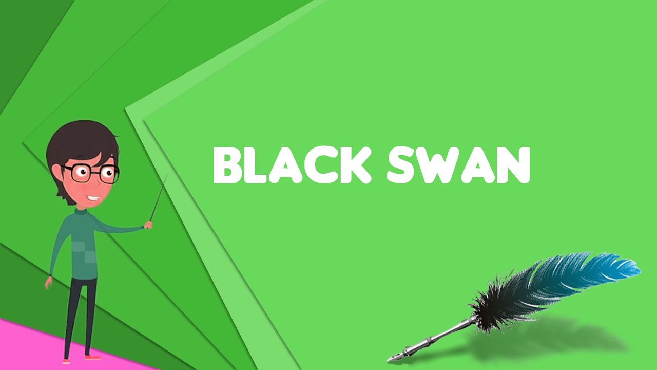 What is Black swan? Explain Black swan, Define Black swan, Meaning of Black swan YouTube