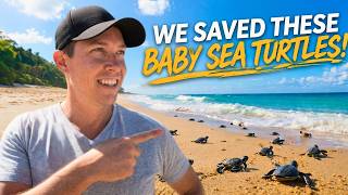 Visiting A Turtle Hatchery In Sri Lanka - We Were SHOCKED!