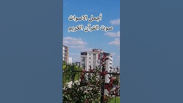 سوره النصر القارئ ماهر المعيقلي تلاوه خاشعة بصوت جميل اللهم اجعل القرآن ربيع قلوبنا ونور صدورنا# ♥️