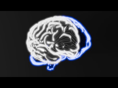 ZaGa - Neuroregenerator (3D Fractal Visuals)