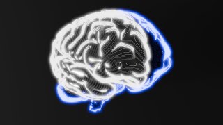 ZaGa - Neuroregenerator (3D Fractal Visuals)