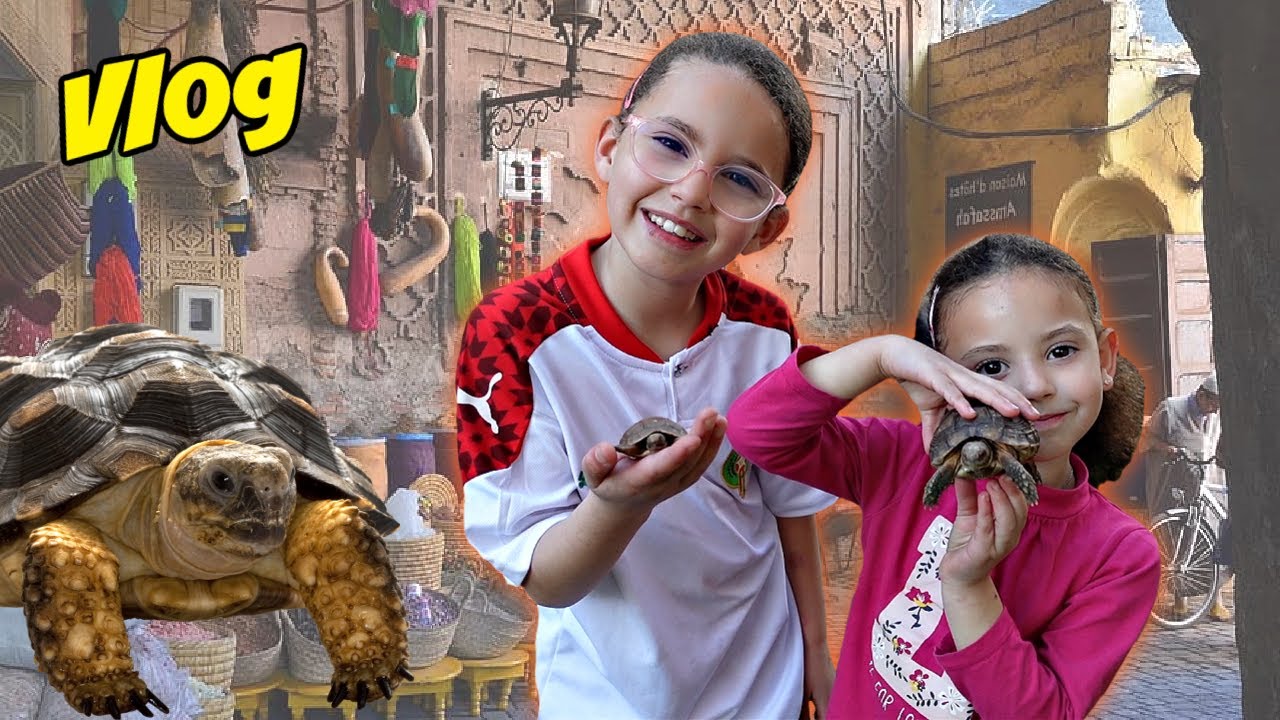 VLOG - NOUS l'avions PROMIS aux FILLES ! ELLES choisissent une TORTUE chacune