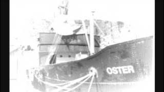 Download lagu Ivar Medaas - Dar kjem dampen