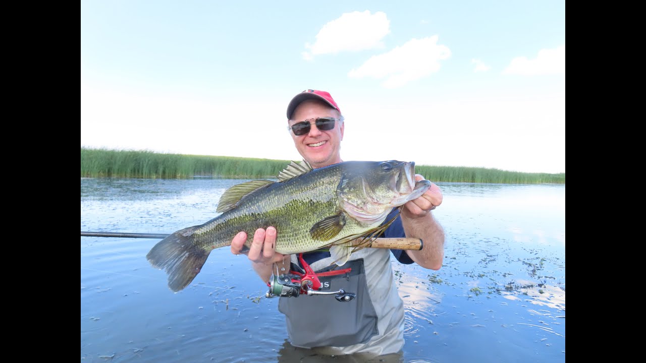An Afternoon Of Bass Fishing With A Last Cast Giant