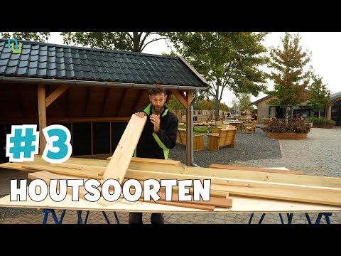 Video: Wat is hout? Soorten en doel