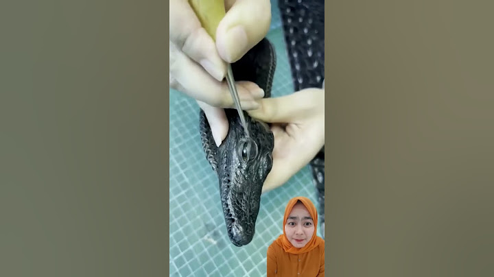 cewek penakluk buaya ⁉️ #shorts