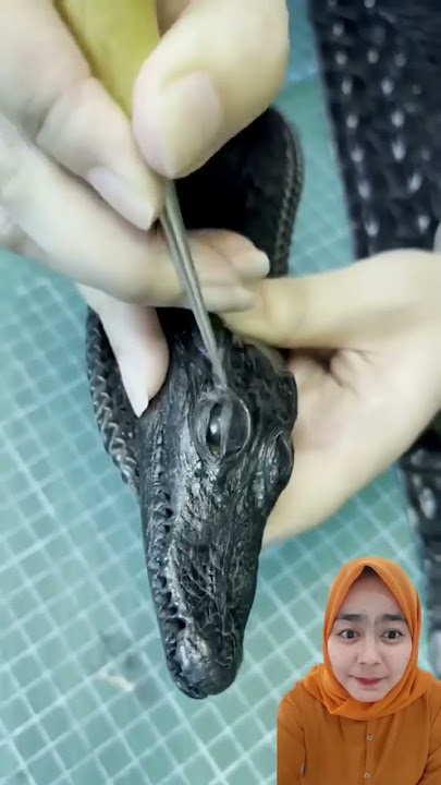 cewek penakluk buaya ⁉️ #shorts