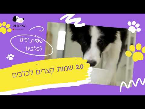 וִידֵאוֹ: שמות זכרים צ'צ'ניים - משמעות מעניינת, האנשה של אומץ וכבוד