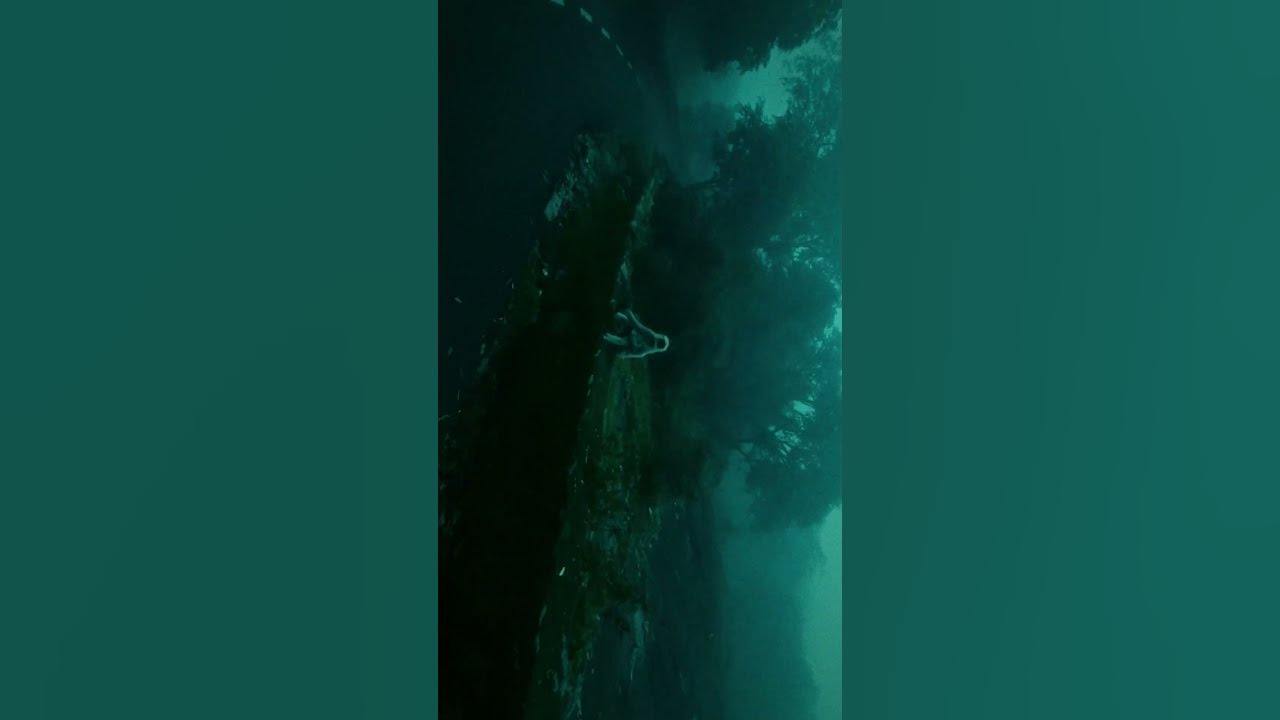 foggy Dreams – Mount Abu the misty mountain | Cinematic Short Film (FLIP THE SCREEN) Lorn-acid rain foggy Dreams – Mount Abu the misty mountain | Cinematic Short Film (FLIP THE SCREEN) Lorn-acid rain