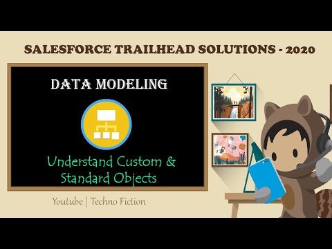 Trailhead Solutions | Data Modeling | Understand Custom & Standard Objects | Techno Fiction