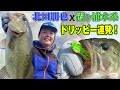 ドリッピーだから獲れるクオリティーフィッシュ連発劇場【北田朋也×霞ヶ浦水系】