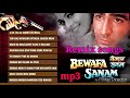 BEWAFA SANAM/ sad songs / dard bhari song 😍