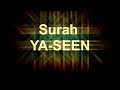 Surah yaseen full beautiful recitation with english transliteration  translation full
