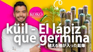 Küil: El lápiz que germina│La visión de Daniel Piceno
