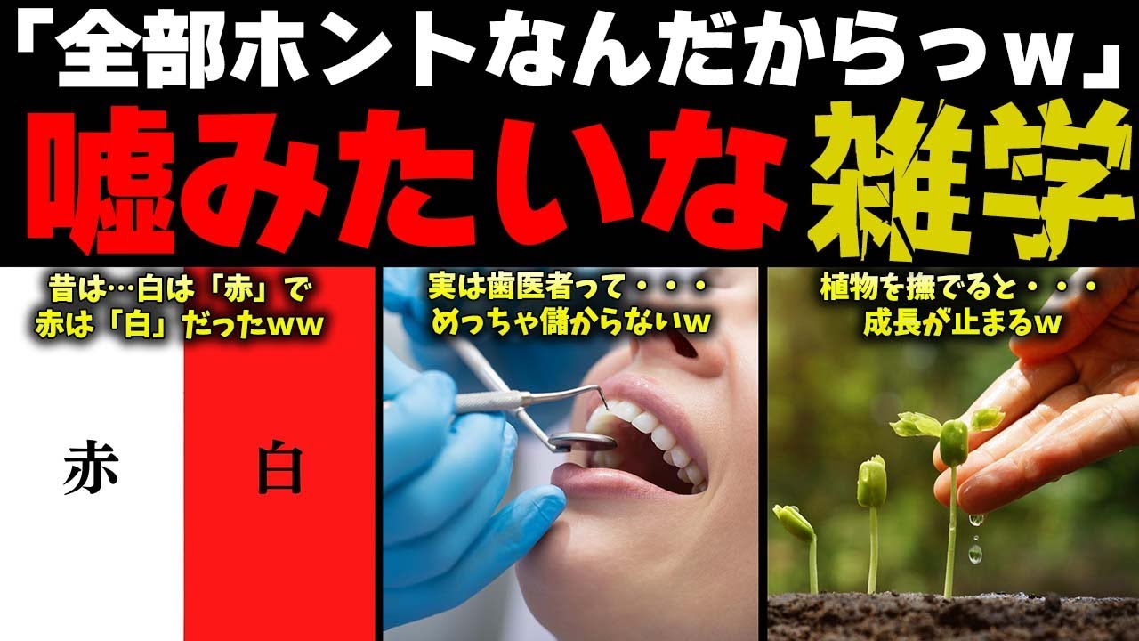 嘘みたいな本当の雑学10選 Youtube