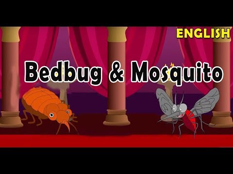 Video: Bed Bugs, Mosquitoes & Bees - Kdy Navštívit Doktora Na Kousnutí Chyby