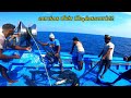 கடலில் சூரை மீன்,திருக்கை மீன் பிடிக்கலாம் வாங்க!!!|deep sea fishing life