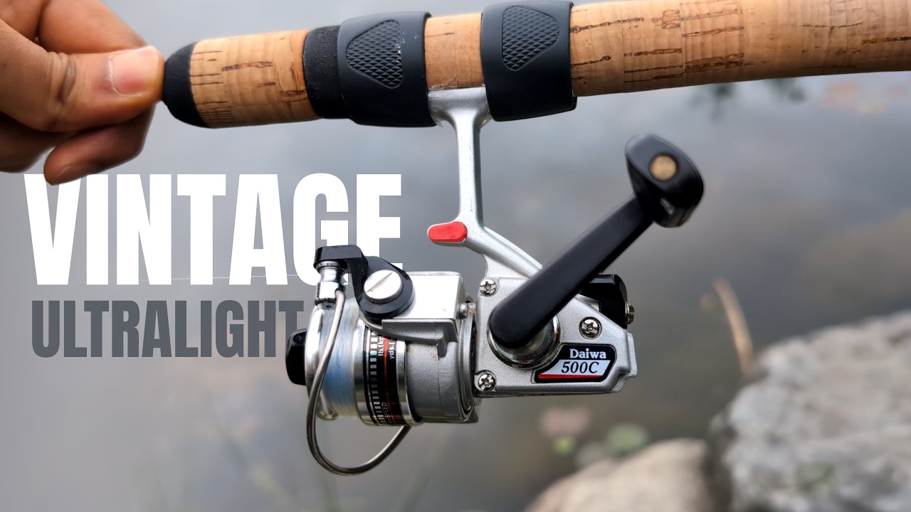 catfish and carp yourube unhook gut hooked fish How to Remove a Gut, Gullet Hooked Bass. Saving Fish Lives. Through the  Gill Hook Removal