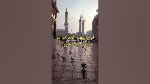 ايات من سورة النحل القارئ الشيخ ياسر الدوسري #اكسبلور