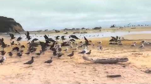 Official Hyperlapse Video Creation App from Instagram