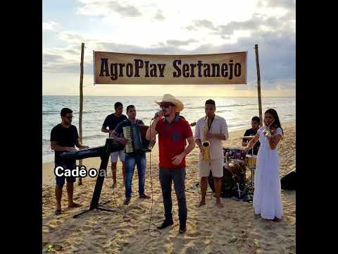 Capa da música Sofrência Sertaneja 2026, de O Nome da Minha Ruína