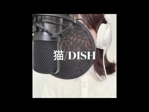 【女性が歌う+4】猫/DISH