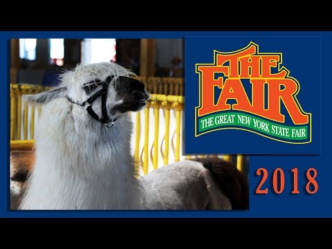 Video thumbnail: A Fun-Filled Day at Syracuse's New York State Fair– Discover Exciting Animals & Delicious Fair Food!