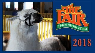 A Fun-Filled Day at Syracuse's New York State Fair– Discover Exciting Animals &amp; Delicious Fair Food!