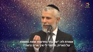 הרב זמיר כהן - מסרים מחכמת שלמה: כח הדיבור ( פרק 6 )