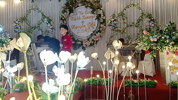 Gặp Nhau Giữa Rừng Mơ Mashup Nhà Em Ở Lưng Đồi | Thái Hà Bolero