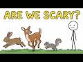 Why Are Animals Scared of Humans?