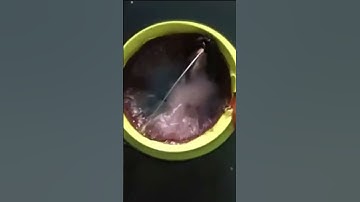 Sea Bin Ocean Cleaning Technology – The Device Saving Our Seas!