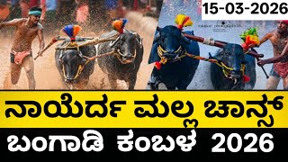 Nayerda Malla Chance Bangadi Kolli Surya Chandra Jodukare Kambala 2026