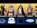 All one piece accessories in blox fruits