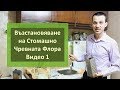 Възстановяване на Стомашно Чревната Флора - Видео 1