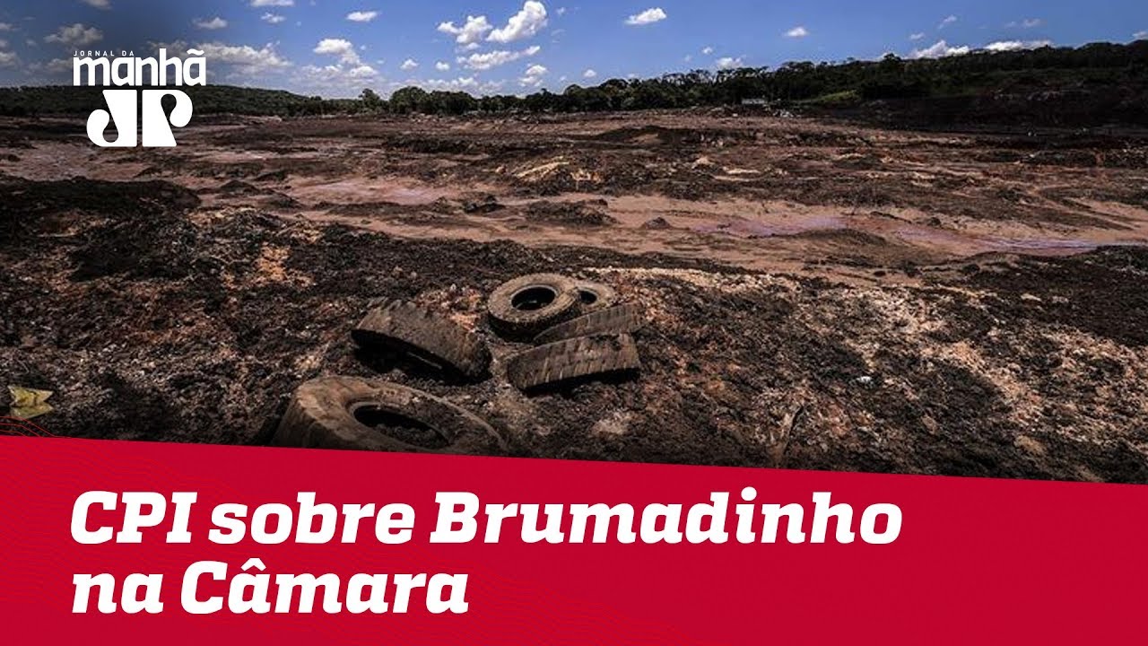 Cinco meses após tragédia, CPI sobre Brumadinho na Câmara entra em nova fase - YouTube