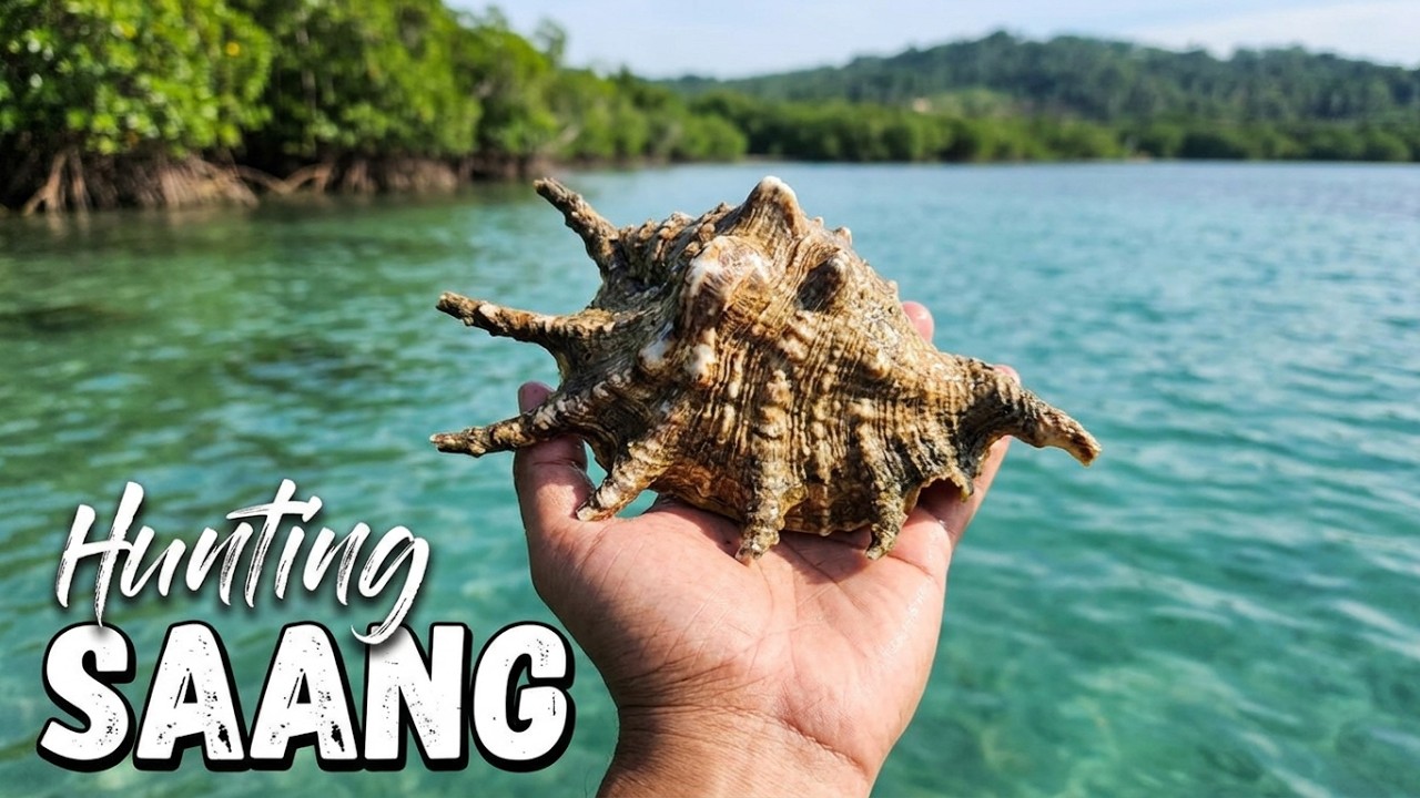 SAANG (Spider Shell) NASAD ANG ATONG BANAT RON MGA MASTER | Ep: 269 # ...