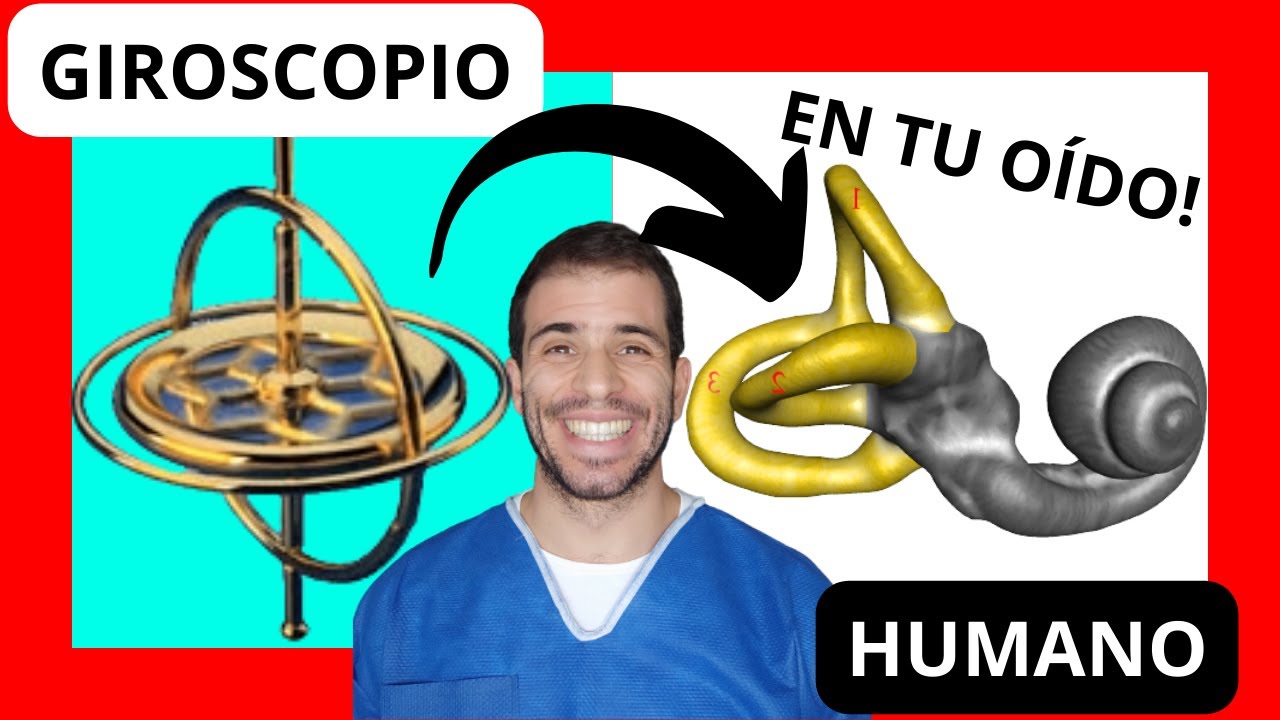 Los Canales Semicirculares Del O Do Interno La Causa M S Frecuente De