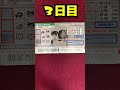 ３日目