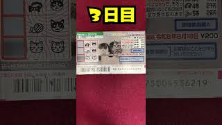 ３日目