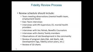 DBHR IPS Fidelity Review Basics