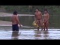 Contato inicial com indígenas isolados no Acre (primeiro vídeo)