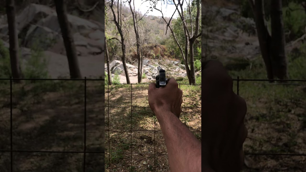 Smith & Wesson Calibre .22